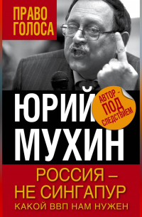 Юрий Мухин - Россия – не Сингапур. Какой ВВП нам нужен