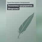 С. В. Загородников - Экономика предприятия. Шпаргалка