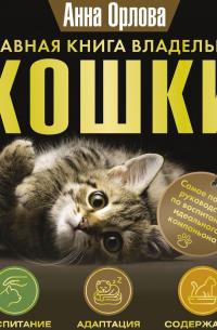 Главная книга владельца кошки