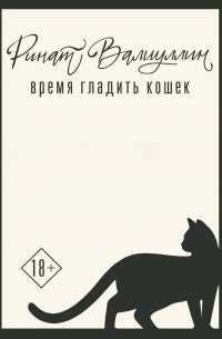 Ринат Валиуллин - Время гладить кошек