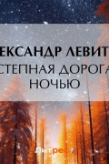 Александр Левитов - Степная дорога ночью