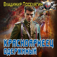 Владимир Поселягин - Красноармеец. Одержимый