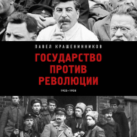 Павел Крашенинников - Государство против революции