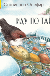 Иду по тайге