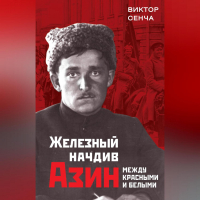 Виктор Сенча - Железный начдив Азин. Между красными и белыми