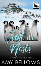 Amy Bellows - Just the Nests