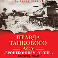 Василий Брюхов - Правда танкового аса. «Бронебойным, огонь!»