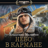 Владимир Малыгин - Небо в кармане