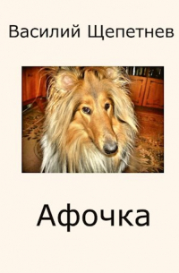 Василий Щепетнев - Афочка