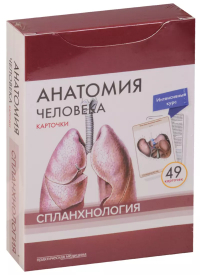  - Анатомия человека. Спланхнология (49 карточек)