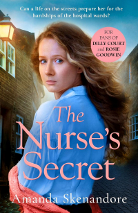 Amanda Skenandore - The Nurse's Secret