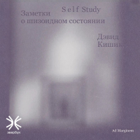 Дэвид Кишик - Self Study: Заметки о шизоидном состоянии