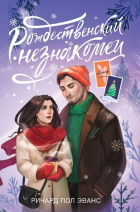 Ричард Пол Эванс - Рождественский незнакомец