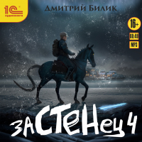 Дмитрий Билик - Застенец. Книга 4