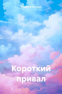 Владимир Куницын - Короткий привал