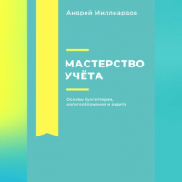 Андрей Миллиардов - Мастерство учёта. Основы бухгалтерии, налогообложения и аудита