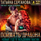 Татьяна Серганова - Поймать дракона. Новый год в Академии