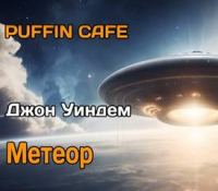 Джон Уиндем - Метеор