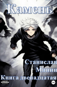 Станислав Минин - Камень. Книга двенадцатая