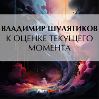 Владимир Шулятиков - К оценке текущего момента