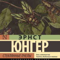 Эрнст Юнгер - Стеклянные пчелы