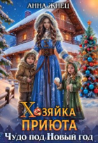 Анна Жнец - Хозяйка приюта. Чудо под Новый год