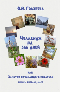 Ольга Голубева - ЧЕЛЛЕНДЖ НА 366 ДНЕЙ, или Заметки начинающего писателя Часть 1