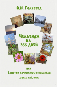 Ольга Голубева - ЧЕЛЛЕНДЖ НА 366 ДНЕЙ, или Заметки начинающего писателя. Часть 2