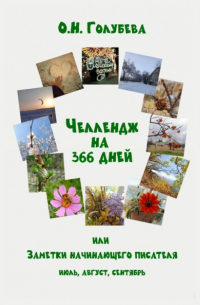 Ольга Голубева - ЧЕЛЛЕНДЖ НА 366 ДНЕЙ, или Заметки начинающего писателя. Часть 3