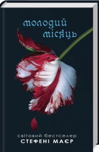 Сутінки. Молодий місяць