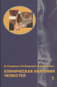  - Клиническая анатомия челюстей
