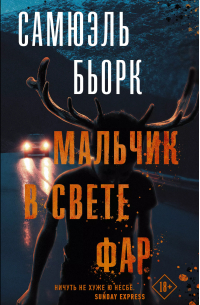 Мальчик в свете фар