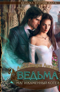 Ведьма против мага. Книга 2. Ведьма, маг и каменный котел