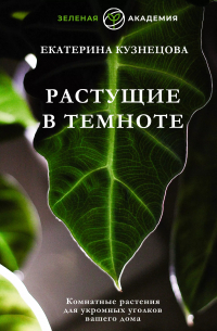 Растущие в темноте. Комнатные растения для укромных уголков вашего дома