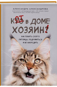 Александра Александрова - Кот в доме хозяин! Как понять своего питомца, подружиться и не навредить