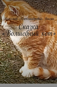 Николай Васин - Сказка «Волшебный кот»