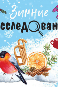 Зимние расследования