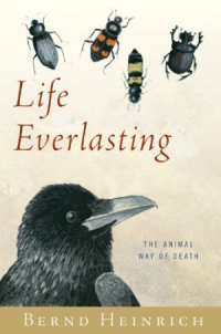 Бернд Хайнрих - Life Everlasting: The Animal Way of Death