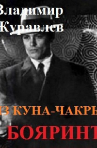 Владимир Журавлев - Бояринъ из куна-чакры