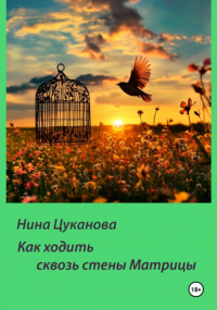 Нина Цуканова - Как ходить сквозь стены Матрицы