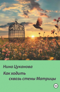 Нина Цуканова - Как ходить сквозь стены Матрицы