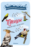 Мишель Лучези - Птицы