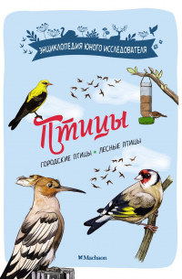 Птицы