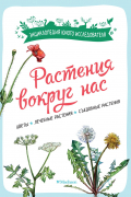  - Растения вокруг нас
