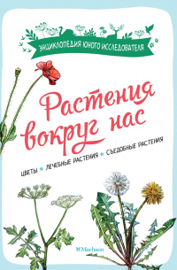 Растения вокруг нас