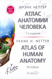 Фрэнк Неттер - Атлас анатомии человека