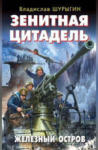 Владислав Шурыгин - Зенитная цитадель. «Не тронь меня!»