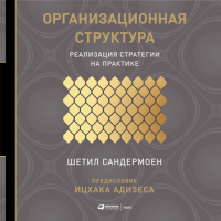 Шетил Сандермоен - Организационная структура: Реализация стратегии на практике