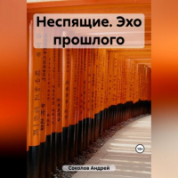 Андрей Николаевич Соколов - Неспящие. Эхо прошлого