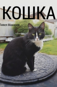 Павел Макаров - Кошка